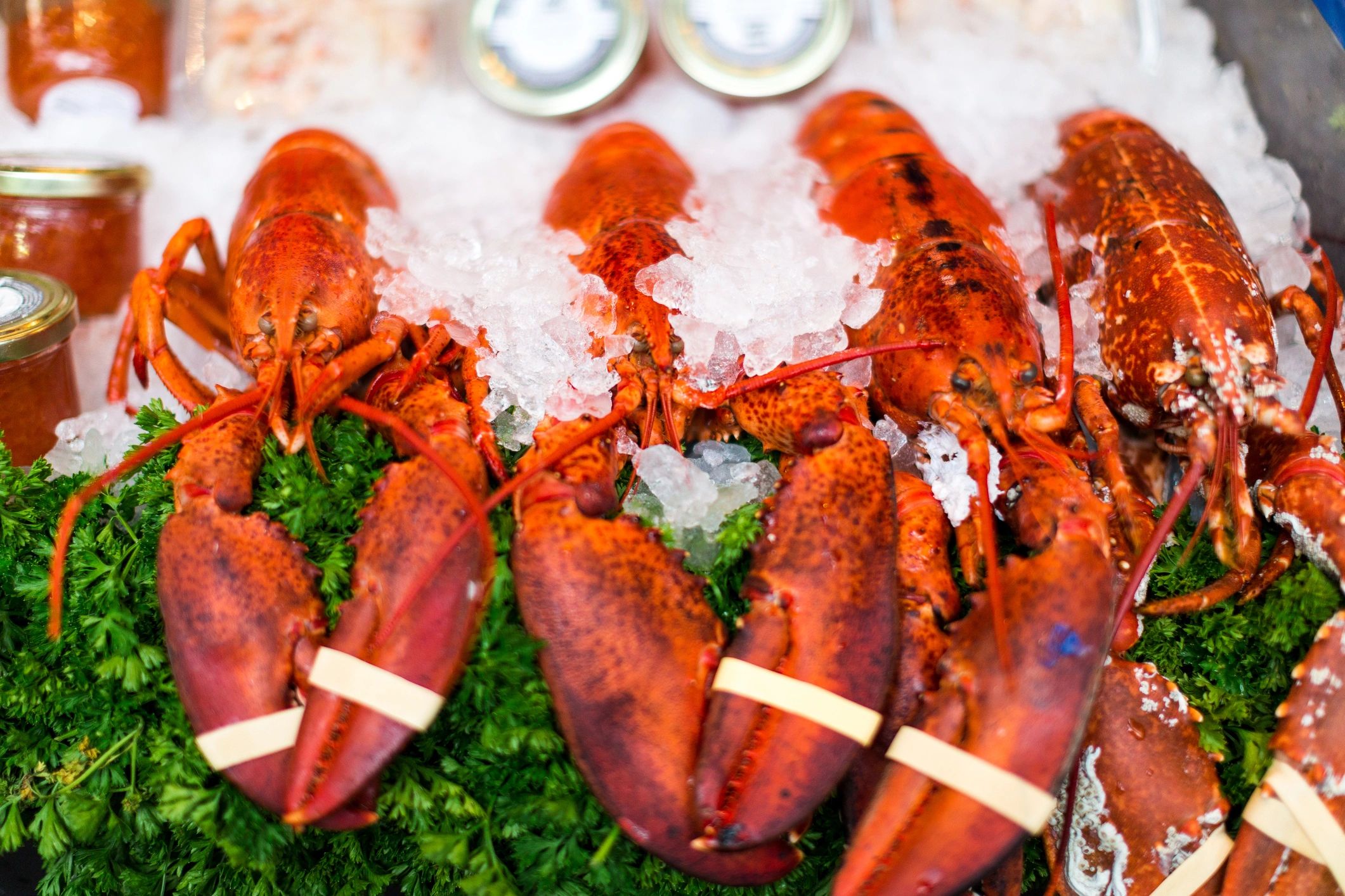 Fresh seafood displayed on ice