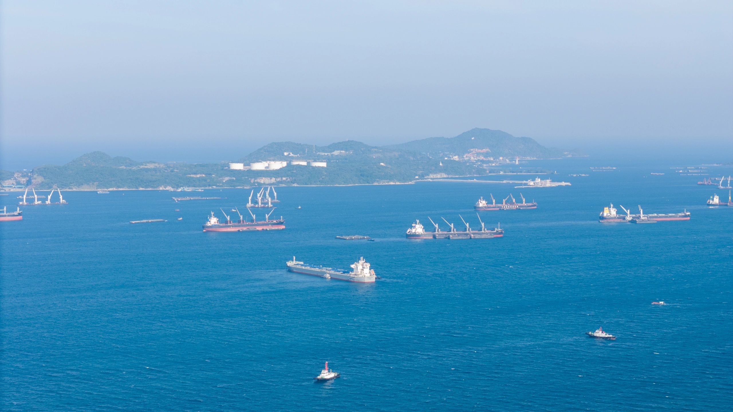 Commercial cargo ships supporting global seafood export logistics