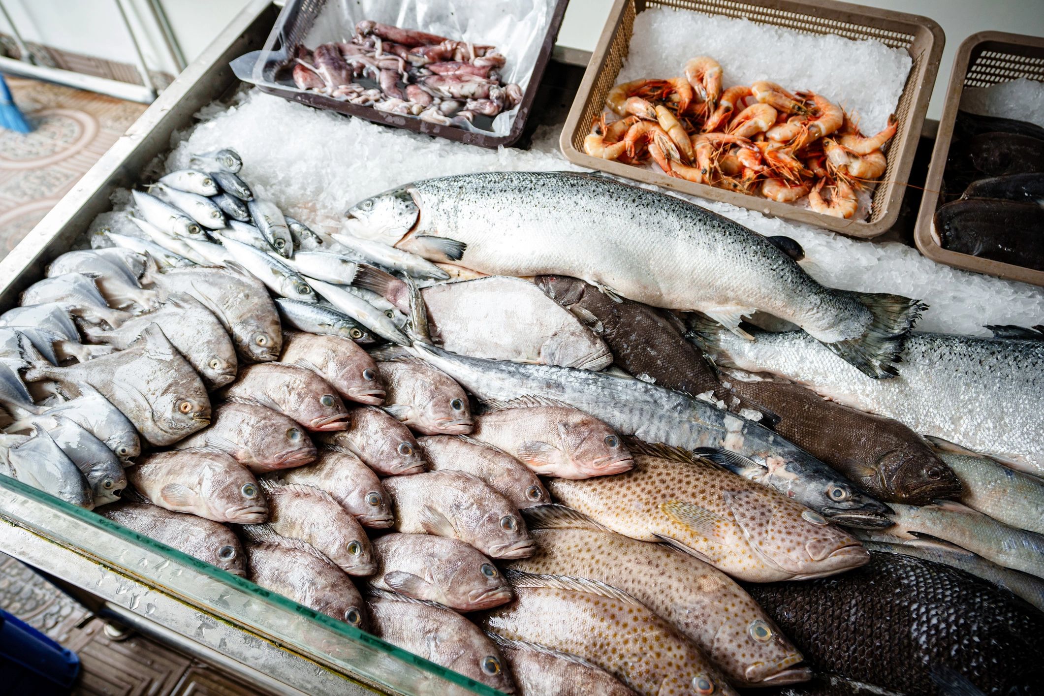 Assorted shellfish and crustaceans on ice